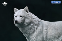 1/6 Scale Arctic Wolf Version C