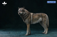 1/6 Scale Arctic Wolf Version D