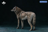 1/6 Scale Arctic Wolf Version D