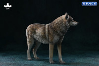 1/6 Scale Arctic Wolf Version D