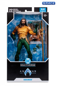 Aquaman from Aquaman and the Lost Kingdom (DC Multiverse)