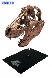 T-Rex Skull Scaled Replica (Jurassic Park)