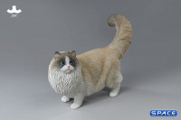 1/6 Scale Ragdoll (light brown)