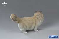 1/6 Scale Ragdoll (light brown)