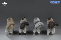 1/6 Scale Ragdoll (light brown)