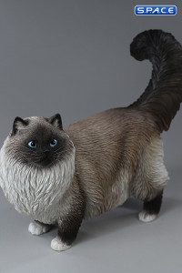 1/6 Scale Ragdoll (black)