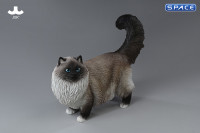 1/6 Scale Ragdoll (black)