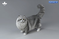 1/6 Scale Ragdoll (grey)