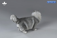 1/6 Scale Ragdoll (grey)