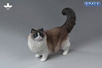 1/6 Scale Ragdoll (brown)