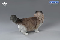 1/6 Scale Ragdoll (brown)