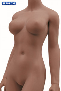 1/6 Scale Seamless female Body S24B / headless (brown)