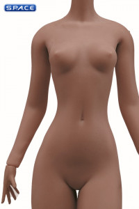 1/6 Scale Seamless female Body S44B / headless (brown)