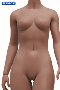 1/6 Scale Seamless female Body S46D / headless (brown)