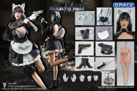 1/6 Scale Assassin Maid Michelle