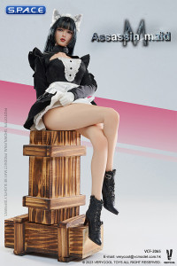 1/6 Scale Assassin Maid Michelle