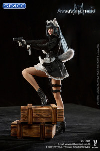 1/6 Scale Assassin Maid Michelle