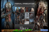 1/6 Scale Feral Predator TV Masterpiece TMS114 (Prey)