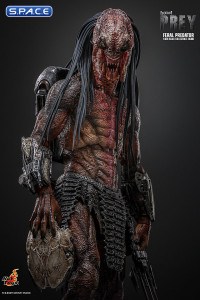 1/6 Scale Feral Predator TV Masterpiece TMS114 (Prey)