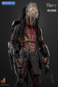 1/6 Scale Feral Predator TV Masterpiece TMS114 (Prey)