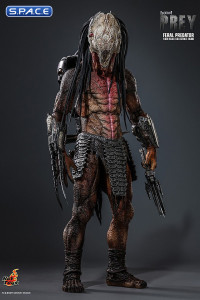 1/6 Scale Feral Predator TV Masterpiece TMS114 (Prey)