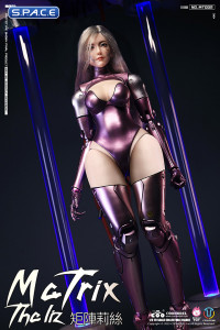 1/6 Scale The Liz - Matrix