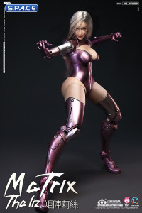 1/6 Scale The Liz - Matrix