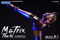 1/6 Scale The Liz - Matrix