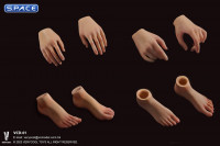 1/6 Scale Female Body with removable feet VCD-01A