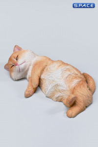 1/6 Scale sleeping Cat with pillow (red)