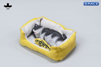 1/6 Scale sleeping Cat with pillow (black/white)