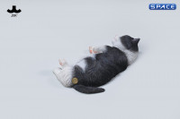 1/6 Scale sleeping Cat with pillow (black/white)