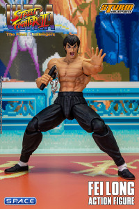 1/12 Scale Fei Long (Ultra Street Fighter II: The Final Challengers)