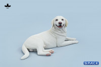 1/6 Scale lying Labrador (white)