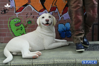 1/6 Scale lying Labrador (white)