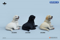 1/6 Scale lying Labrador (white)