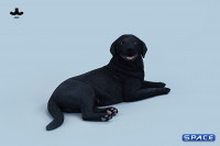 1/6 Scale lying Labrador (black)