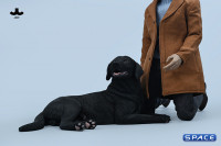 1/6 Scale lying Labrador (black)