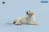 1/6 Scale lying Labrador (light brown)