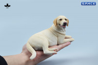 1/6 Scale lying Labrador (light brown)