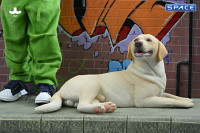 1/6 Scale lying Labrador (light brown)