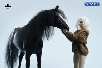 1/6 Scale Akhal Teke Horse (black)