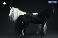 1/6 Scale Akhal Teke Horse (black)