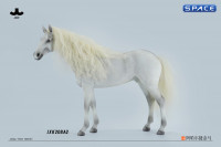 1/6 Scale Akhal Teke Horse (white)