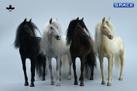 1/6 Scale Akhal Teke Horse (white)