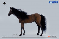 1/6 Scale Akhal Teke Horse (brown)