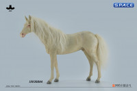 1/6 Scale Akhal Teke Horse (buckskin)