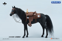 1/6 Scale Akhal Teke Horse with Harness (black)