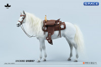 1/6 Scale Akhal Teke Horse with Harness (white)