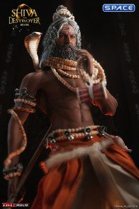 1/6 Scale Silver Shiva - The Destroyer